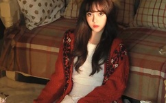 飞鱼是什么意思